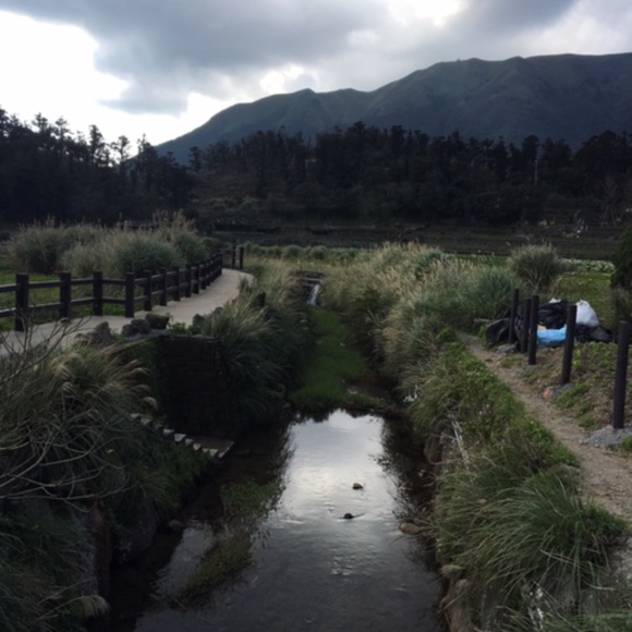 Meet your Posher, H - Picture 6 of 16